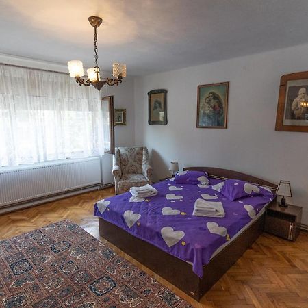 Doi Bujori Apartman Gyulafehérvár Kültér fotó