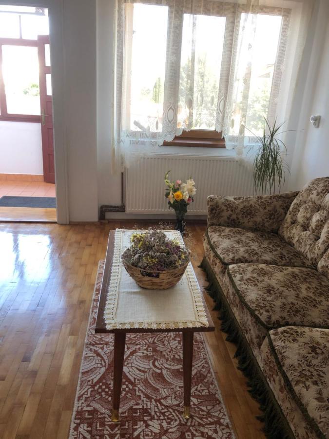 Doi Bujori Apartman Gyulafehérvár Kültér fotó