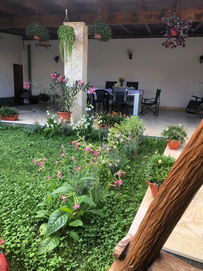 Doi Bujori Apartman Gyulafehérvár Kültér fotó